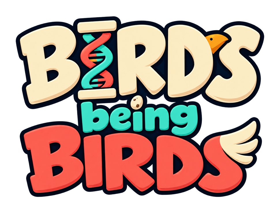 Birds Being Birds